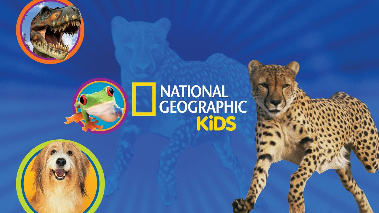 National Geography Textbook